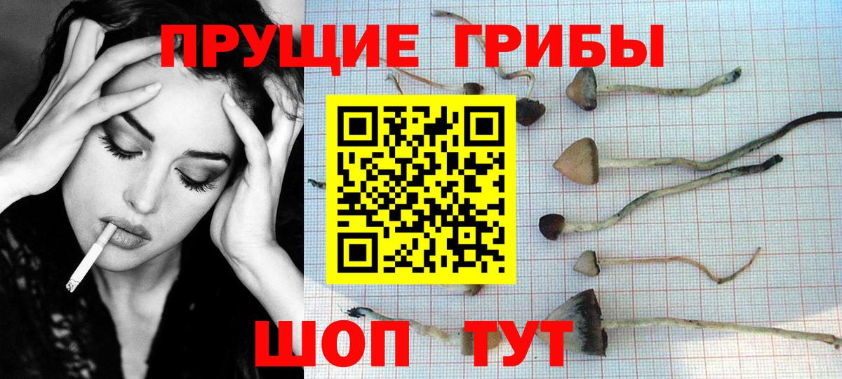 Марихуана Железноводск