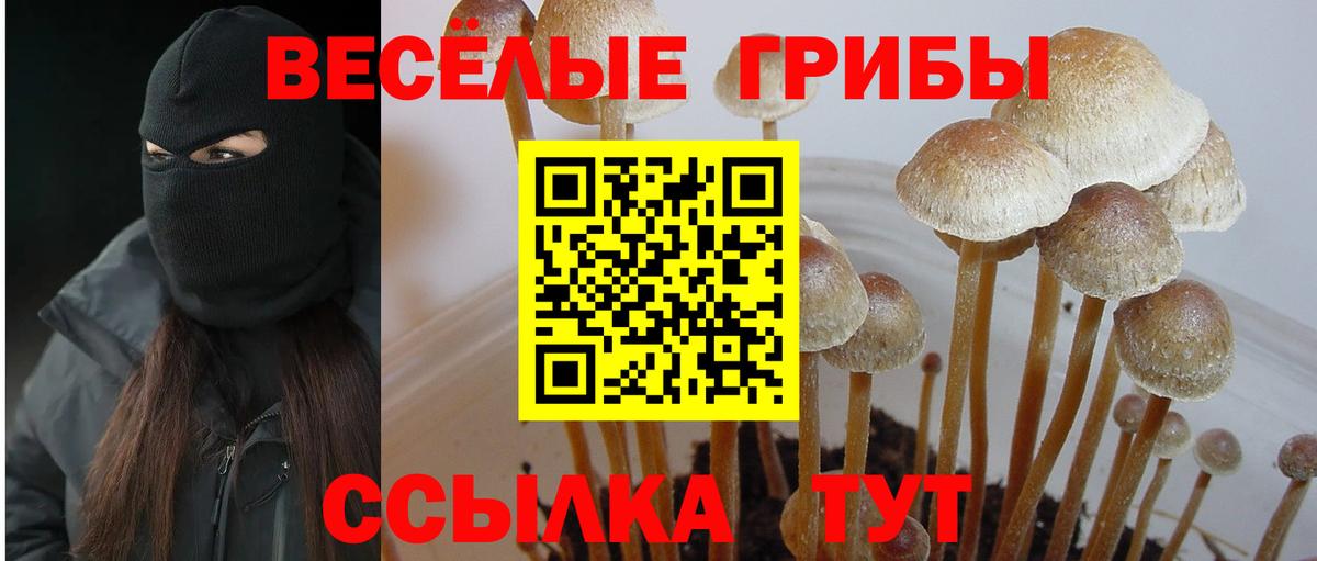 Галлюциногенные грибы Magic Shrooms Железноводск