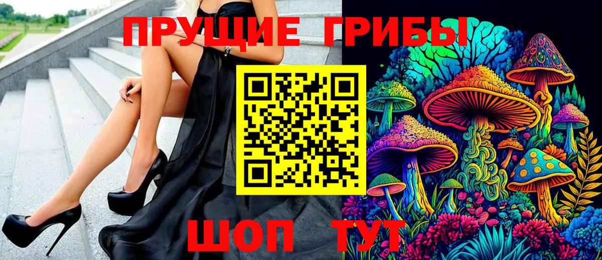 Псилоцибиновые грибы Psilocybine cubensis  где можно купить   Железноводск  Вход с VPN  Псилоцибиновые грибы GOLDEN TEACHER 